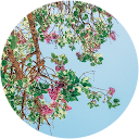 Manon M. profile picture